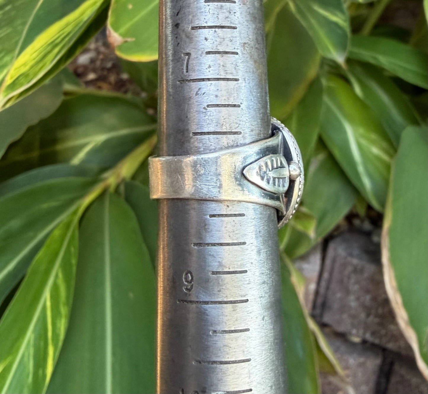 Dream Catcher ~ Turquoise and Sterling Silver Ring Size 8